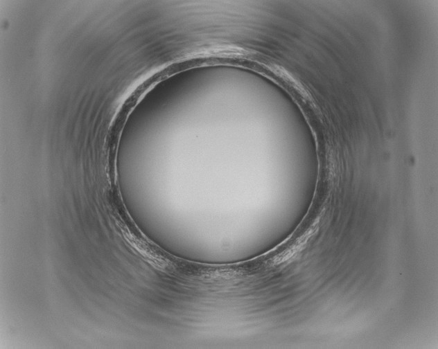 X0000071860830200607290155