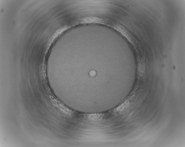 X0000071860832200607290155