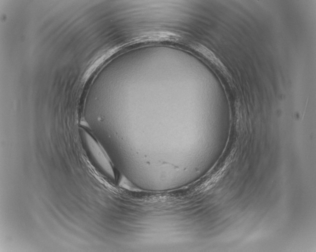 X0000071860834200607290155