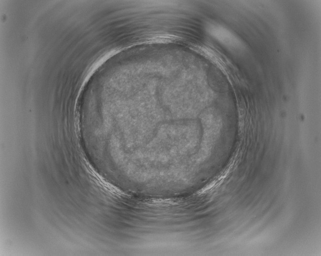 X0000071860835200607290155