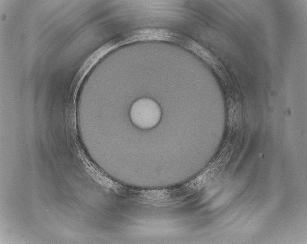 X0000071860836200607290155