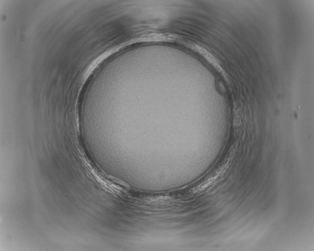 X0000071860837200607290155