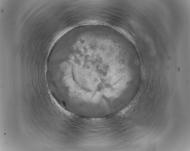 X0000071860839200607290155