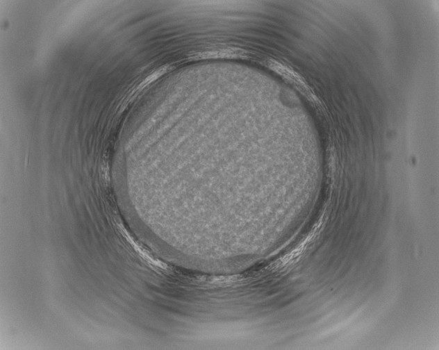 X0000071860841200607290155