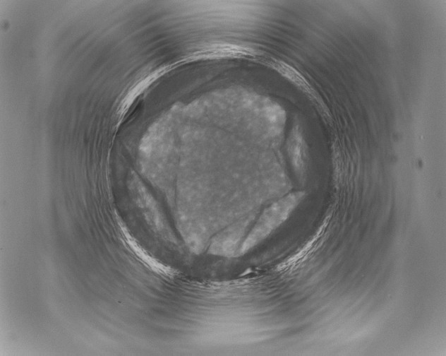 X0000071860842200607290155