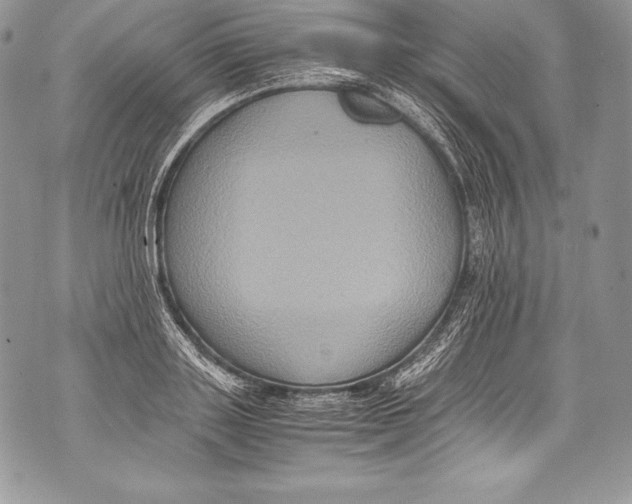 X0000071860843200607290155