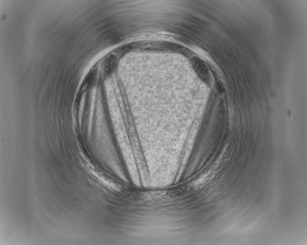 X0000071860846200607290155