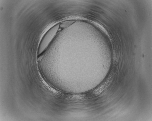 X0000071860847200607290155