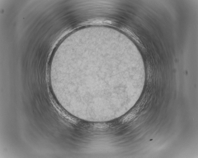 X0000071860848200607290155