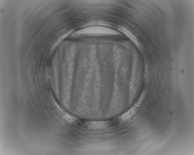 X0000071860849200607290155