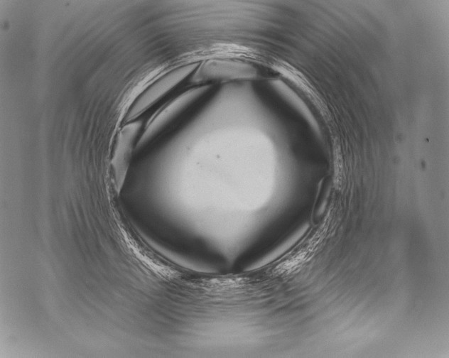 X0000071860850200607290155