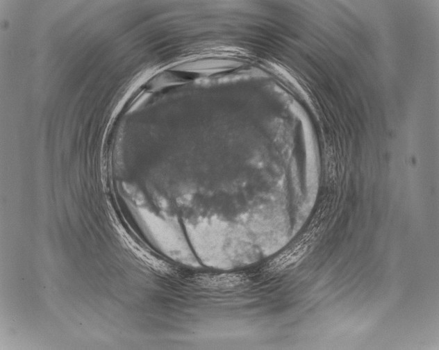 X0000071860851200607290155