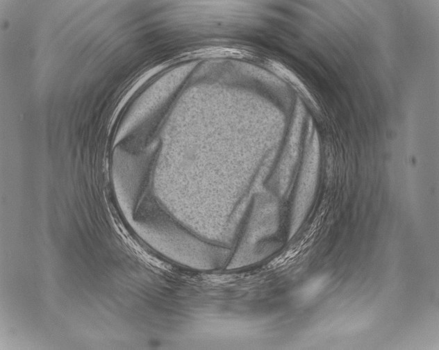 X0000071860852200607290155