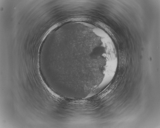 X0000071860853200607290155