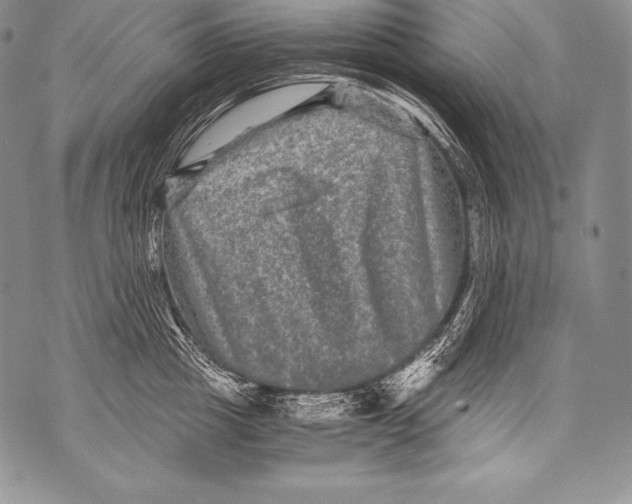 X0000071860857200607290155