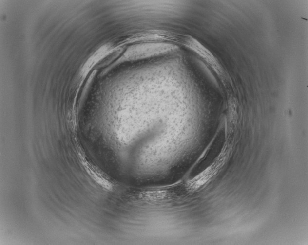 X0000071860858200607290155