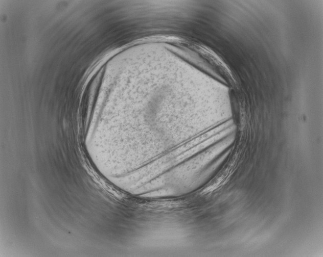 X0000071860860200607290155