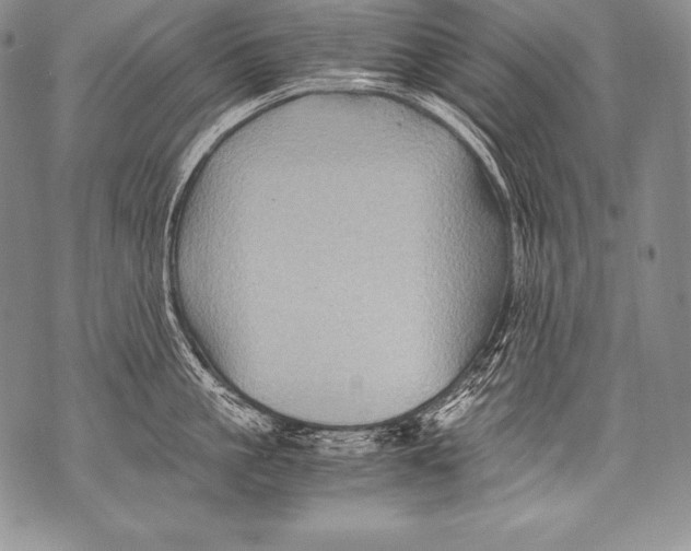 X0000071860861200607290155