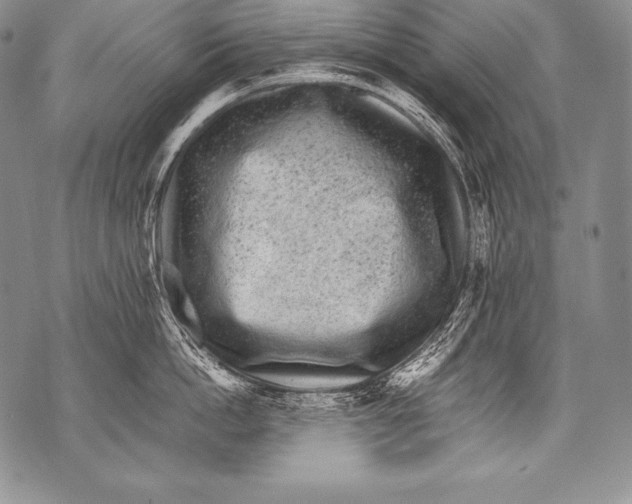 X0000071860862200607290155