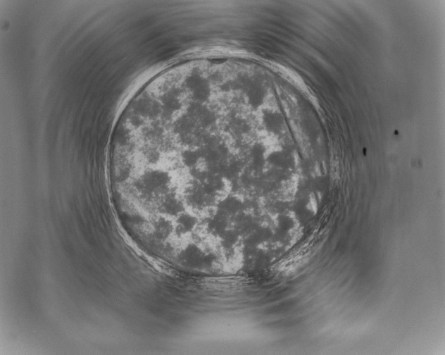 X0000071860863200607290155