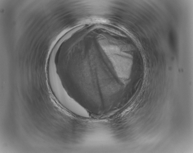 X0000071860864200607290155