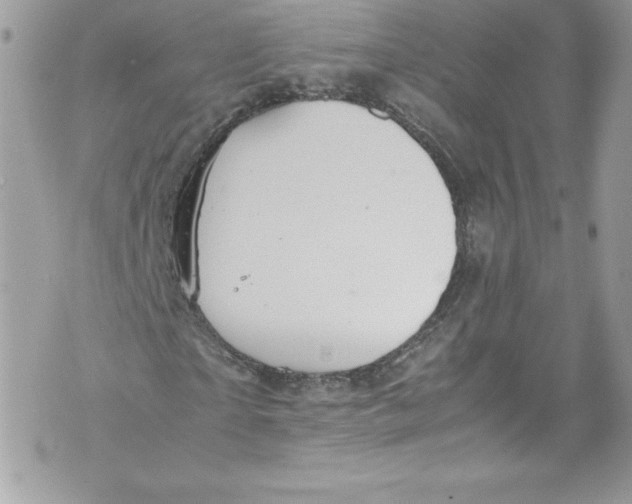 X0000071860865200607290155