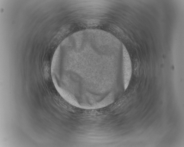 X0000071860866200607290155