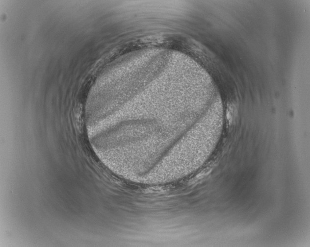 X0000071860867200607290155