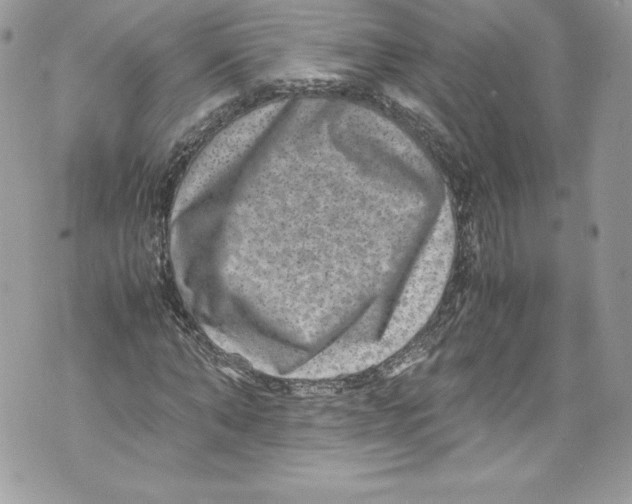 X0000071860870200607290155