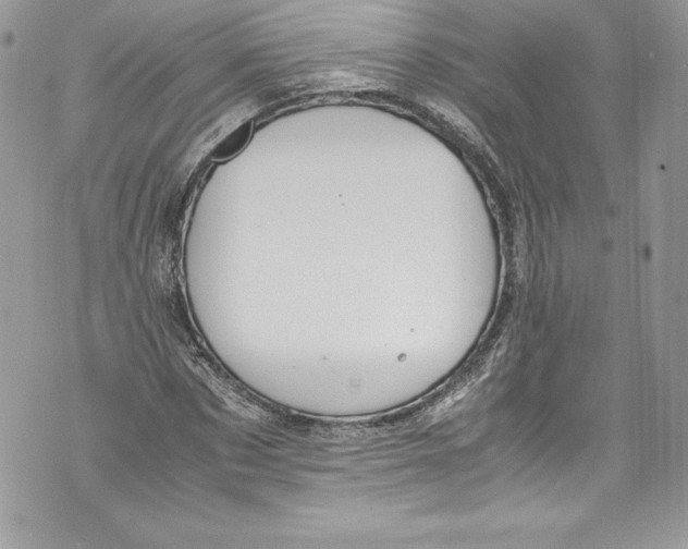 X0000071860873200607290155