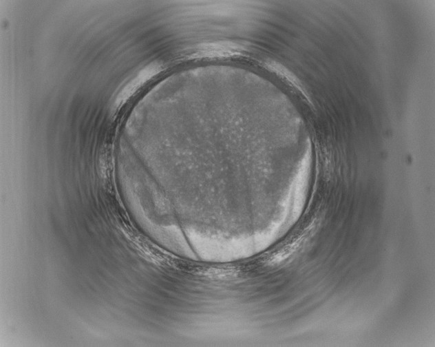 X0000071860874200607290155