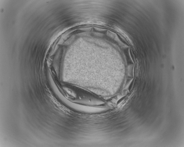 X0000071860876200607290155