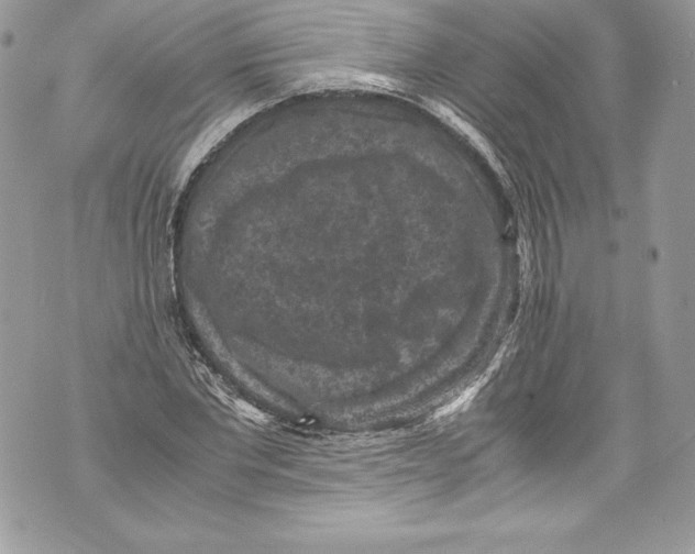 X0000071860877200607290155