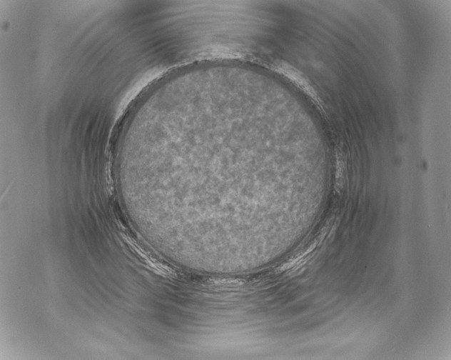 X0000071860878200607290155