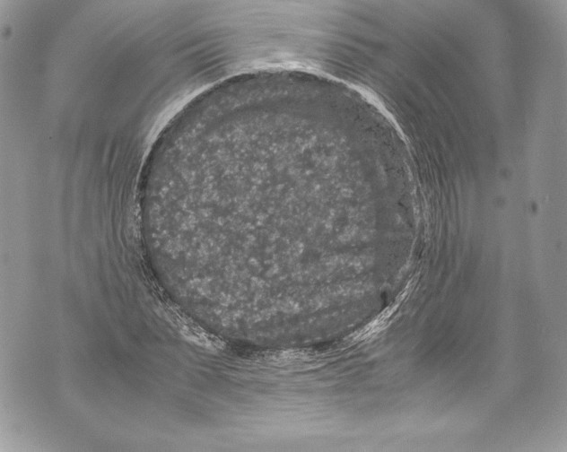 X0000071860879200607290154