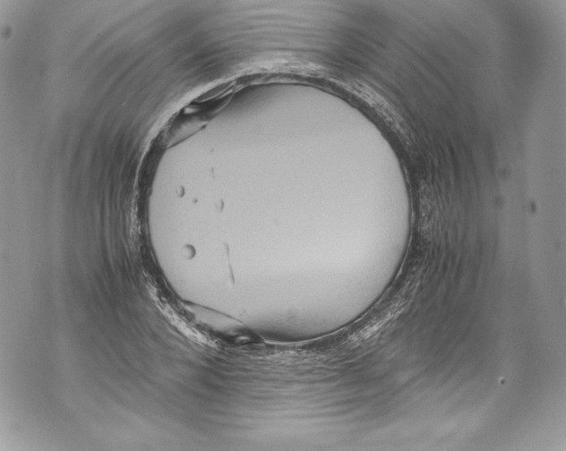 X0000071860880200607290154