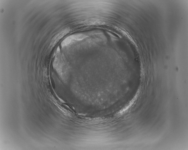 X0000071860881200607290154