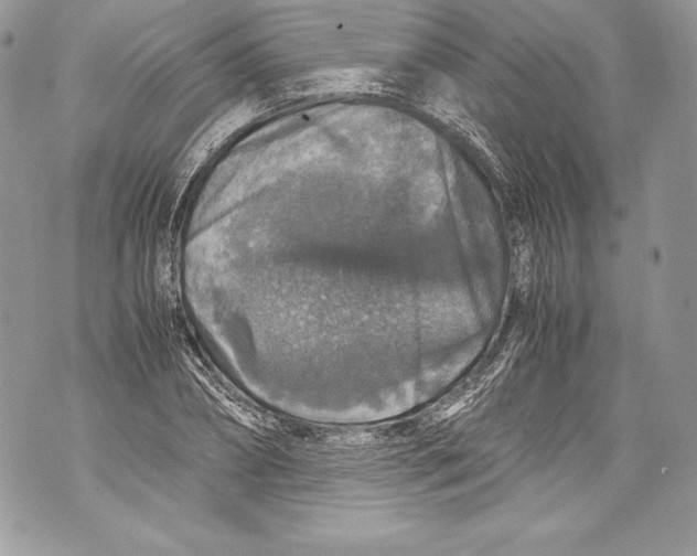 X0000071860882200607290154