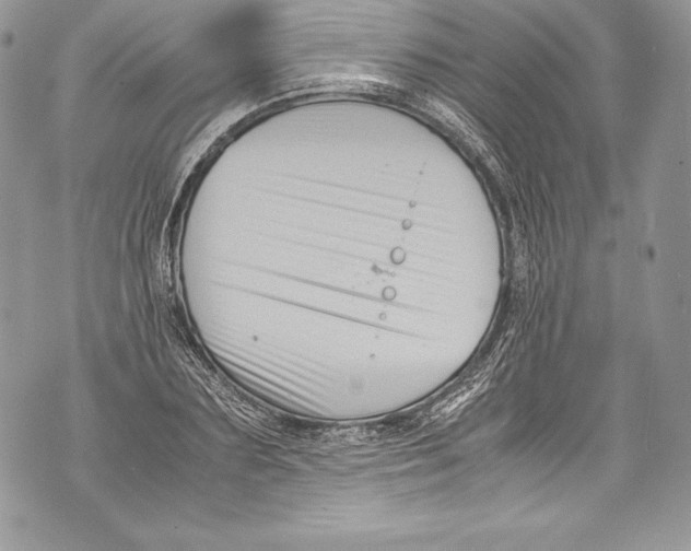 X0000071860883200607290154