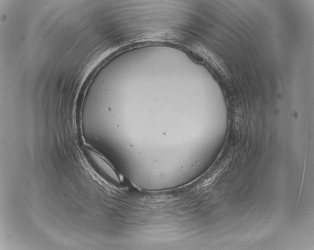 X0000071860884200607290154