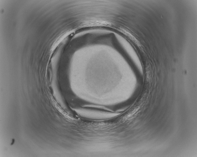 X0000071860885200607290154