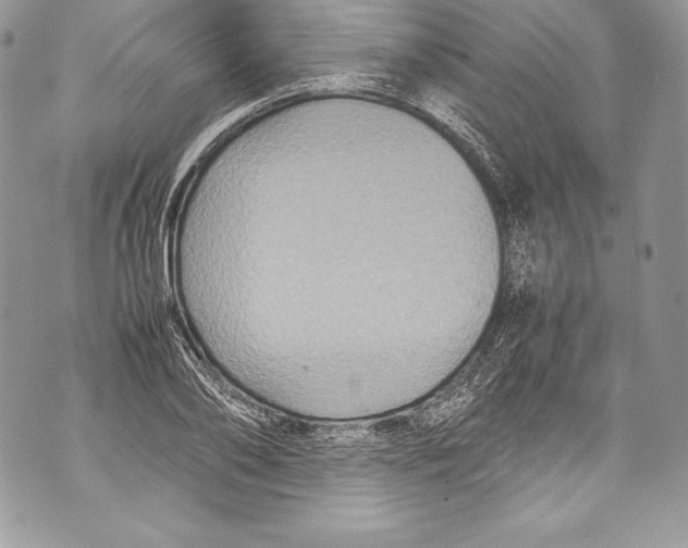 X0000071860886200607290154