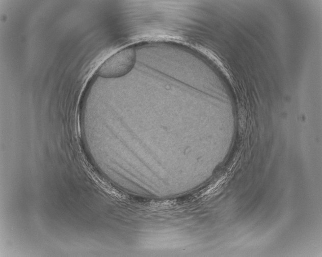 X0000071860887200607290154