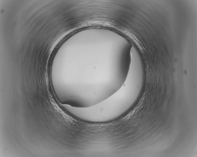 X0000071860888200607290154