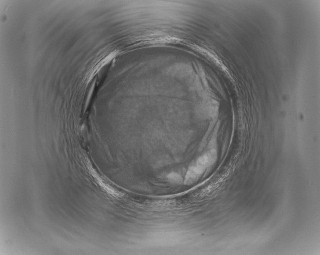 X0000071860889200607290154