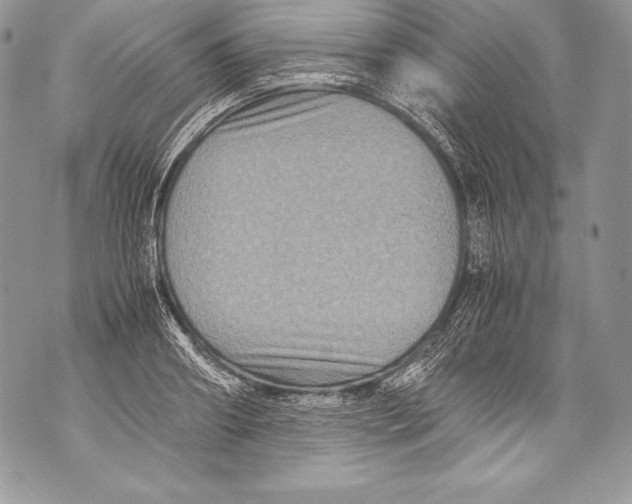 X0000071860890200607290154