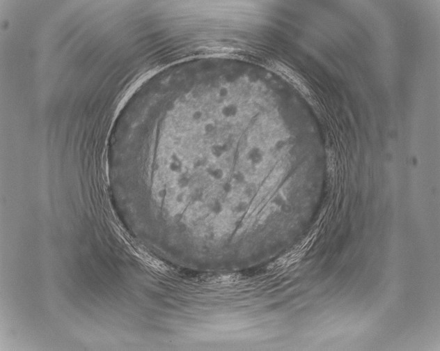 X0000071860891200607290154