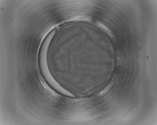 X0000071860892200607290154