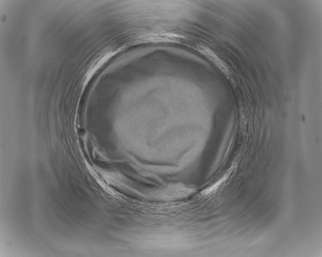 X0000071860893200607290154