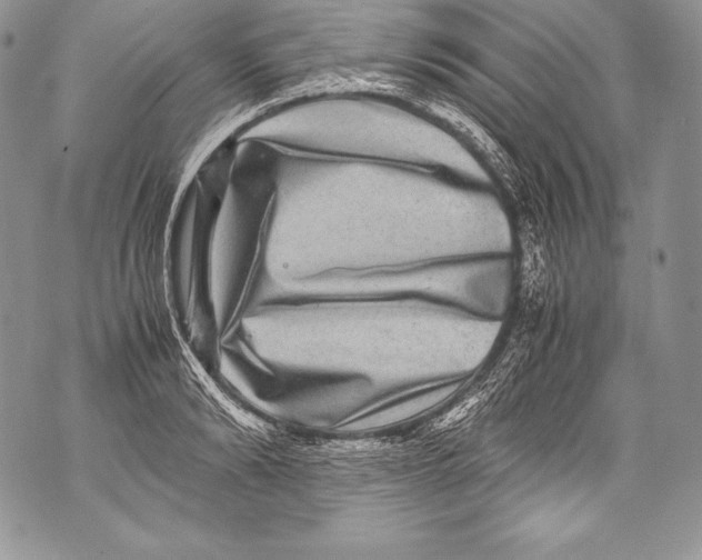 X0000071860894200607290154